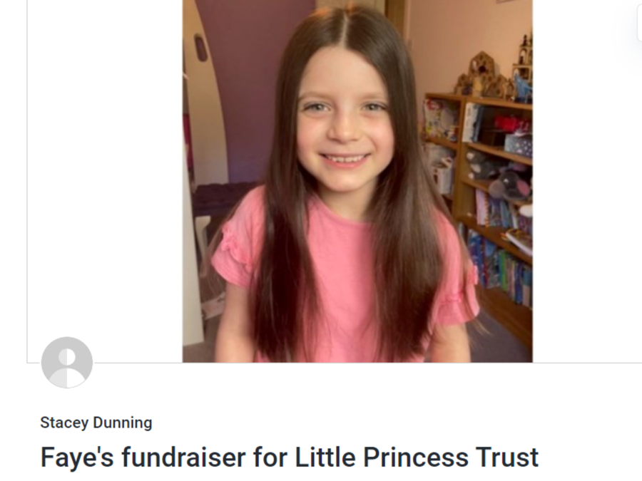 Faye's fundraiser for Little Princess Trust Faye's fundraiser for Little Princess Trust